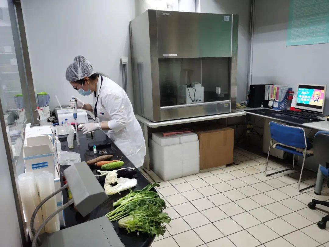 舒城食品检测实验室装修方案